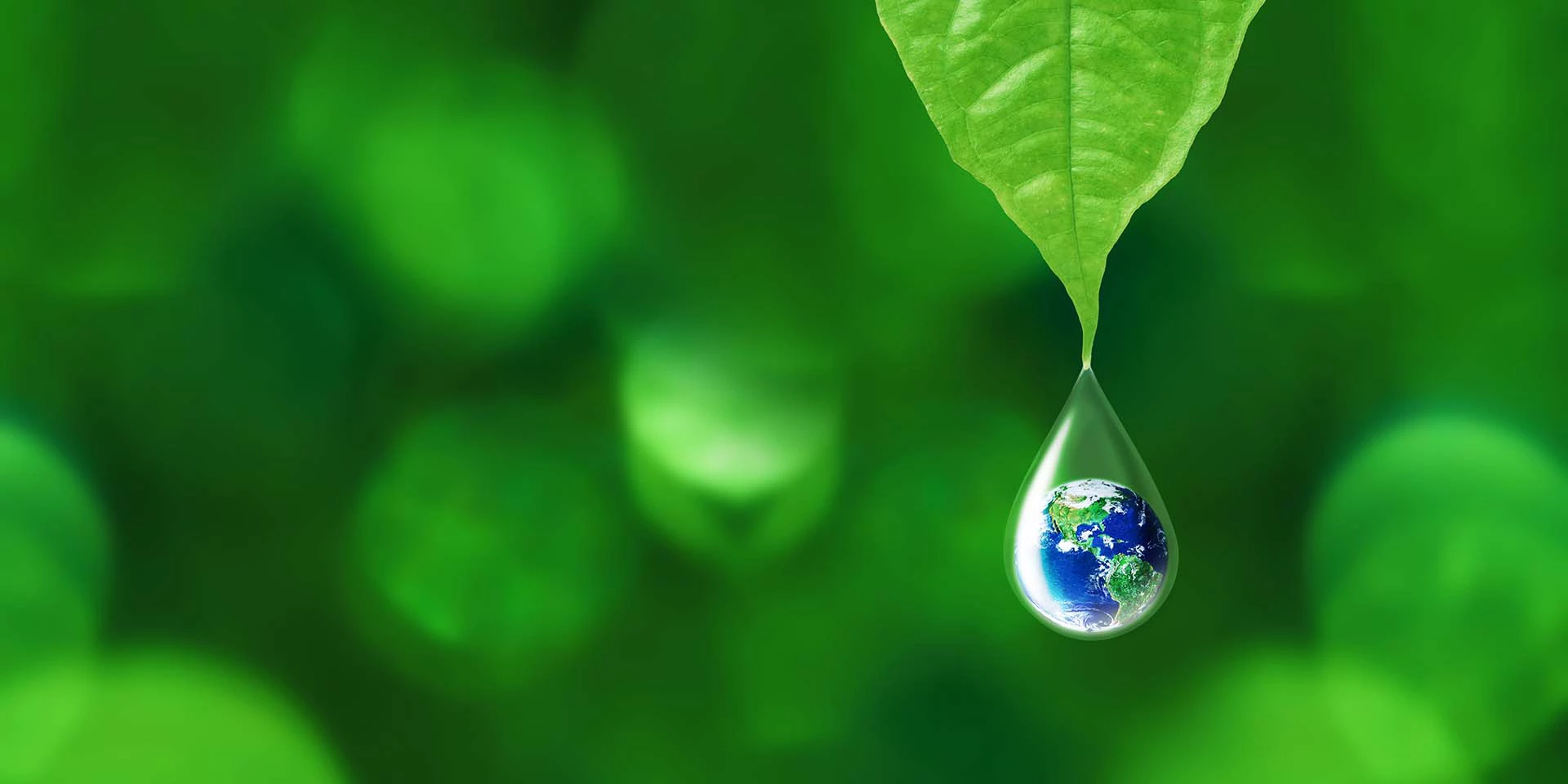 Earth in water drop reflection under green leaf, water and environment concept, Elements of this image furnished by NASA