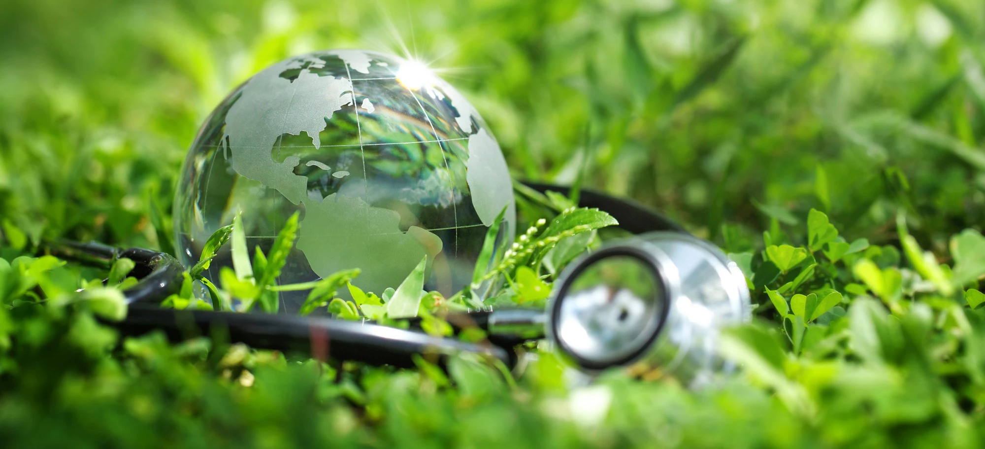 An image of stethoscope in nature - representative of Health & Climate.